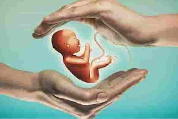 خبيرة فى علاج تأخر الإنجاب